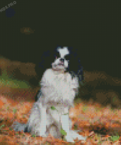 Japanese Chin Diamond Painting