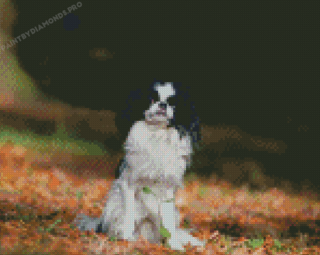 Japanese Chin Diamond Painting