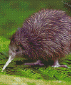 Kiwi Bird Diamond Paintings