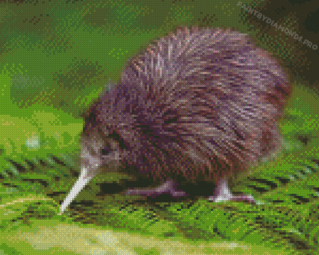 Kiwi Bird Diamond Paintings