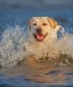 Labrador Swmming Diamond Painting