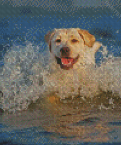 Labrador Swmming Diamond Painting