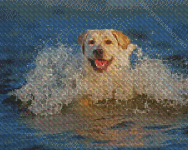 Labrador Swmming Diamond Painting