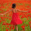 Lady In Poppy Field Diamond Painting