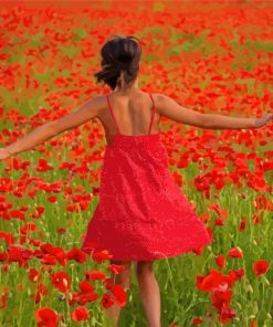 Lady In Poppy Field Diamond Painting