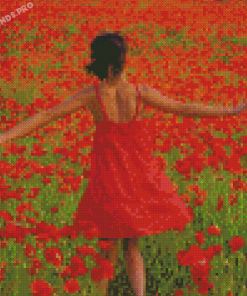 Lady In Poppy Field Diamond Painting