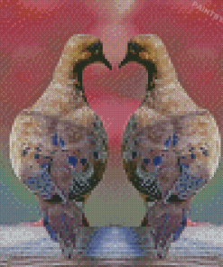 Love Dove Pigeon Diamond Painting