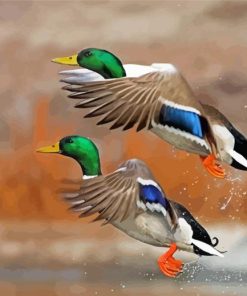 Mallard Ducks Birds Flying Diamond Painting