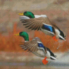 Mallard Ducks Birds Flying Diamond Painting