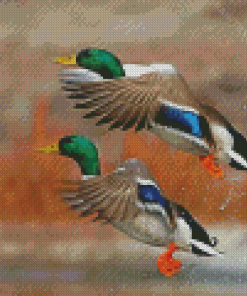 Mallard Ducks Birds Flying Diamond Painting