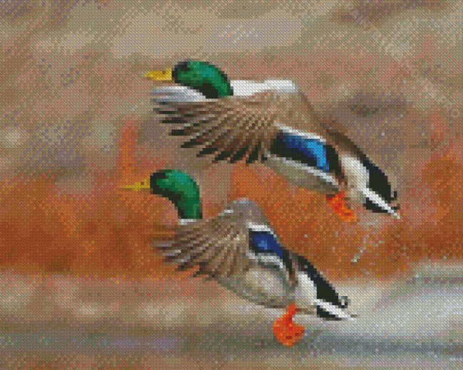 Mallard Ducks Birds Flying Diamond Painting