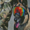 Military Dog Diamond Painting