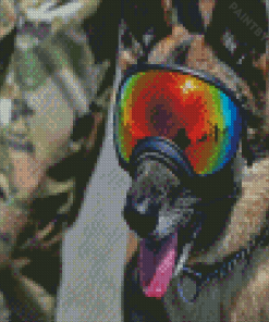 Military Dog Diamond Painting