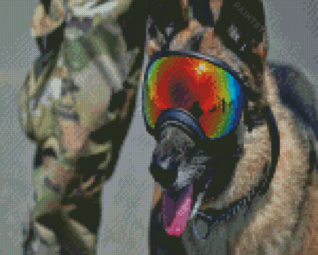 Military Dog Diamond Painting