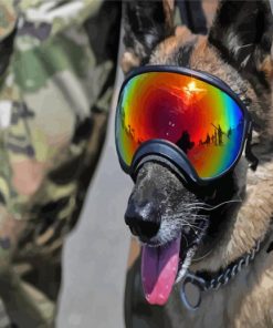 Military Dog Diamond Painting