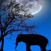 Night Elephant Moon Diamond Painting