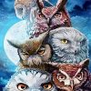 Owls Moon Diamond Painting