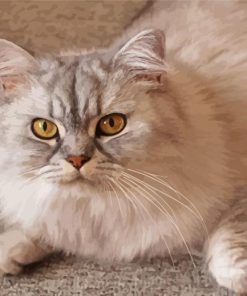 Persian Cat Diamond Painting