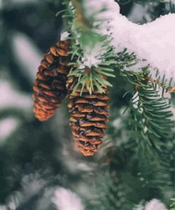 Pinecone In Snowy Tree Diamond Painting