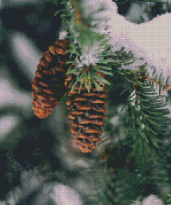 Pinecone In Snowy Tree Diamond Painting