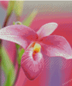 Pink Lady Slipper Flower Diamond Paintings