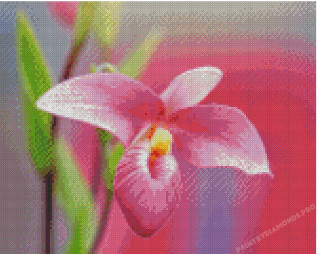 Pink Lady Slipper Flower Diamond Paintings