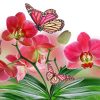 Pink Orchid And Butterflies Diamond Painting