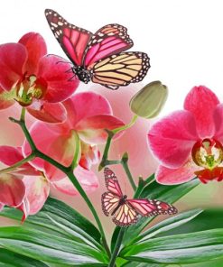 Pink Orchid And Butterflies Diamond Painting