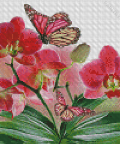 Pink Orchid And Butterflies Diamond Painting