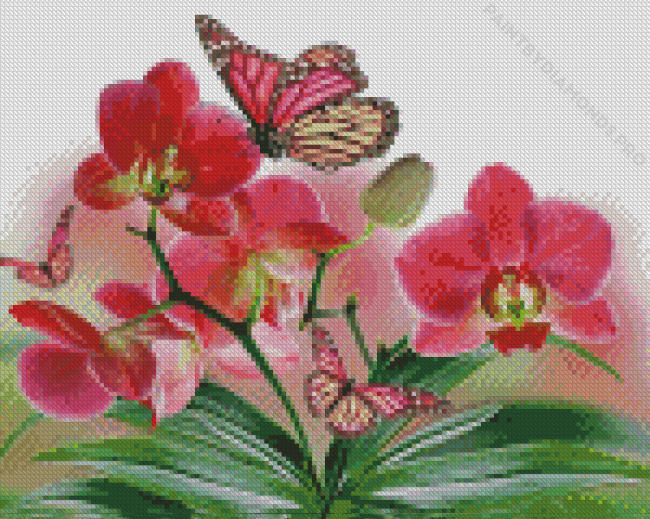 Pink Orchid And Butterflies Diamond Painting