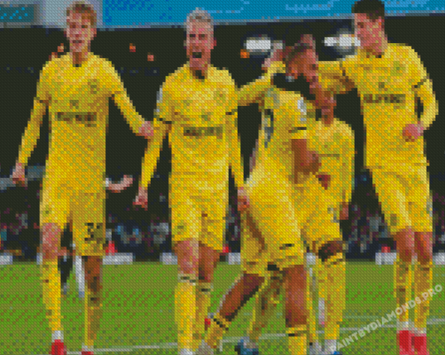 Port Vale Football Team Diamond Painting