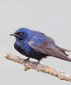 Purple Martin On Tree Diamond Painting