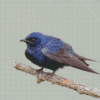 Purple Martin On Tree Diamond Painting