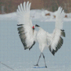 Red Crowned Crane Diamond Painting