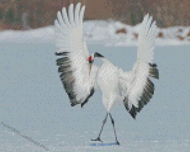 Red Crowned Crane Diamond Painting