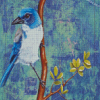 Scrub Jay Bird Diamond Painting