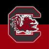 South Carolina Gamecocks Football Logo Diamond Painting