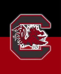 South Carolina Gamecocks Football Logo Diamond Painting