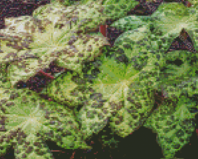 Spotty And Dotty Plant Diamond Painting