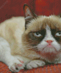 Tardar Sauce Grumpy Cat Diamond Painting