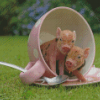 Teacup Pennywell Pigs Diamond Painting