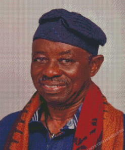 The Filmmaker Tunde Kelani Diamond Painting