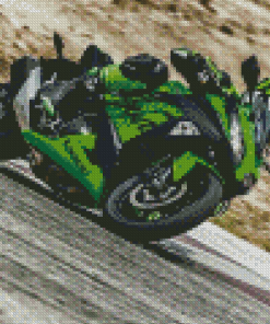 The Kawazaki Ninja Driver Diamond Painting