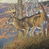 The Whitetail Buck And Doe Diamond Painting