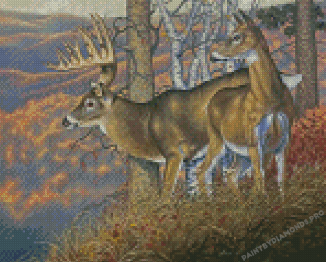 The Whitetail Buck And Doe Diamond Painting