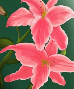 The Pink Lily Flowers Diamond Paintings