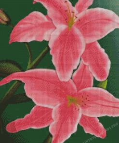 The Pink Lily Flowers Diamond Paintings