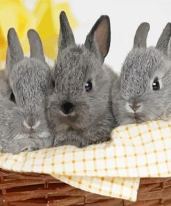 Three Bunnies In Basket Diamond Painting