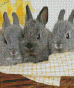 Three Bunnies In Basket Diamond Painting