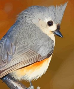 Tufted Titmouse Diamond Painting